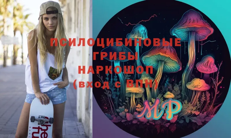 Псилоцибиновые грибы Magic Shrooms  Карачаевск 